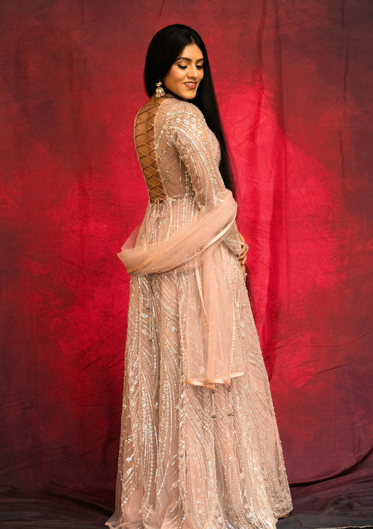 Saanvi – Blush Starlight Sequin Saree