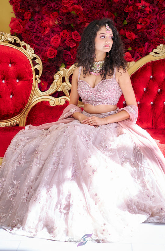 Aarna – Blush Moonlight Crystal Embroidered Lehenga