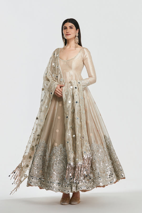 Abhinav Mishra - Shimmer Gold Anarkali