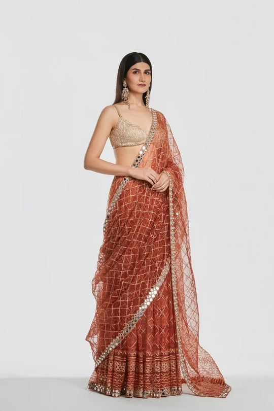 Abhinav Mishra - Shrine Burnt Orange Saree Set