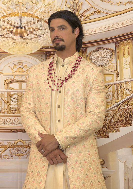 Raghav Sherwani