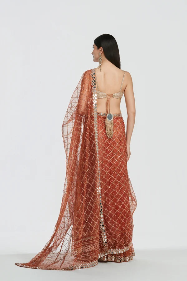 Abhinav Mishra - Shrine Burnt Orange Saree Set
