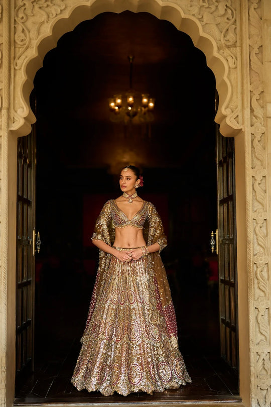 Seema Gujral - Applique Mirror Work Lehenga Set