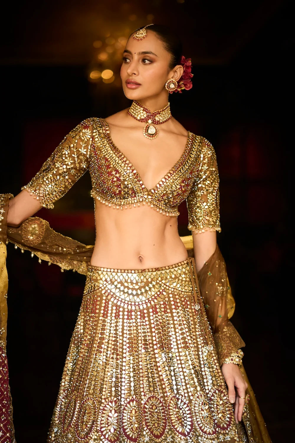 Seema Gujral - Applique Mirror Work Lehenga Set