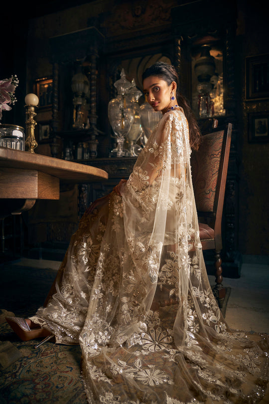 Seema Gujral - Nude Applique Saree