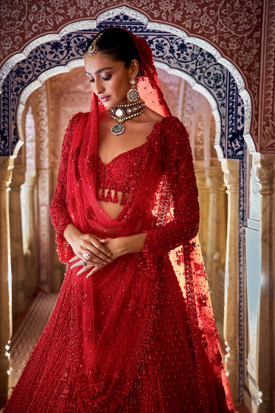 Seema Gujral - Red Cut Work Lehenga Set