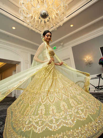 Falguni Lehenga