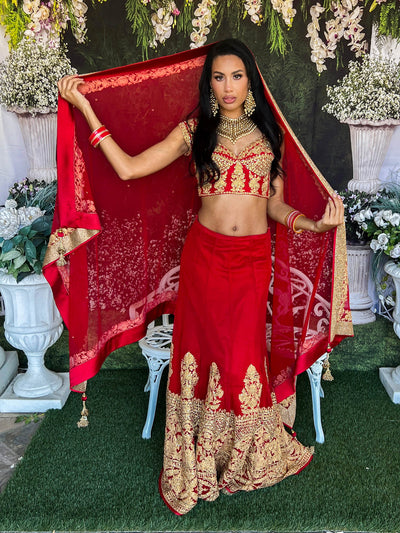 Kriti Lehenga