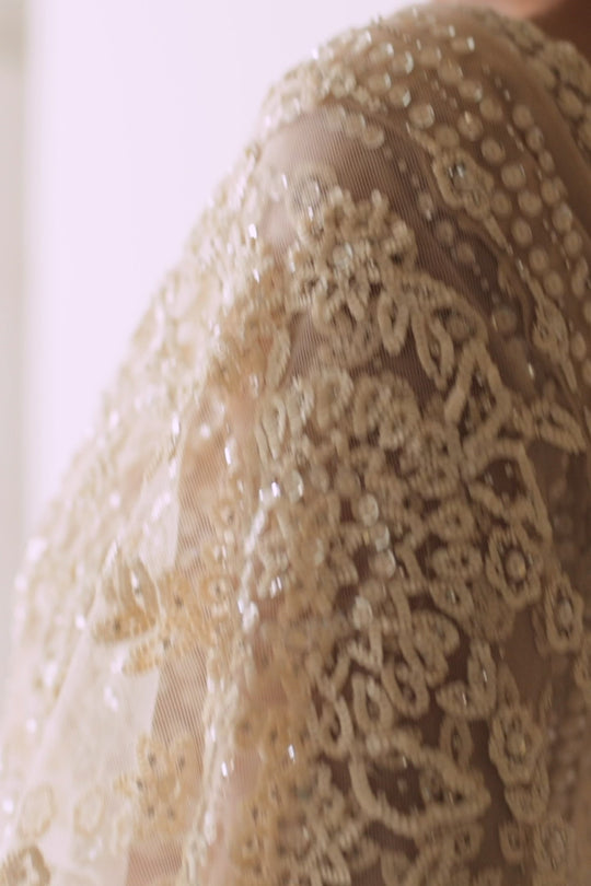 Seema Gujral - Nude Sequin Saree