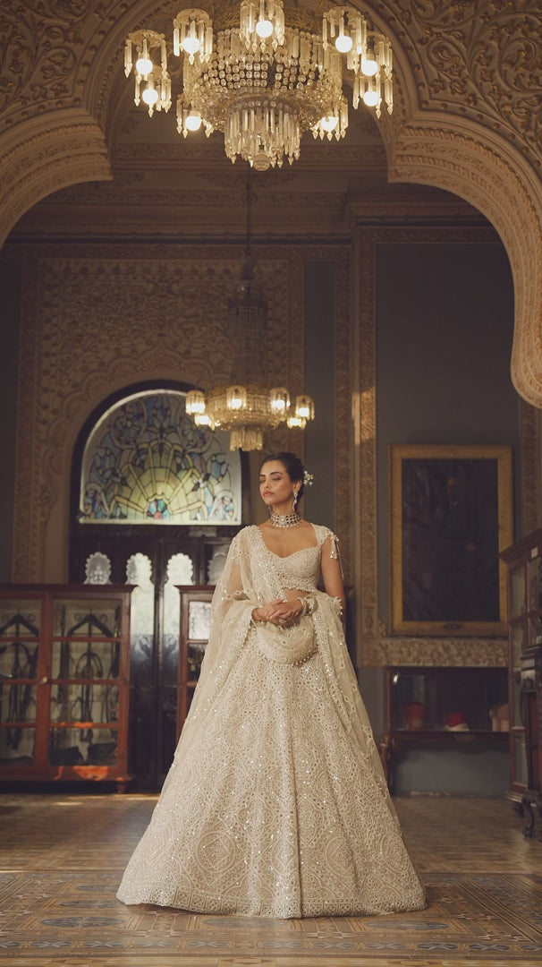 Seema Gujral - Dark Beige Thread Work Lehenga Set